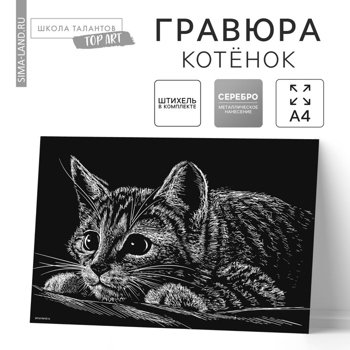 Гравюра "Котёнок", металлический эффект "серебро", 21 х 30 см