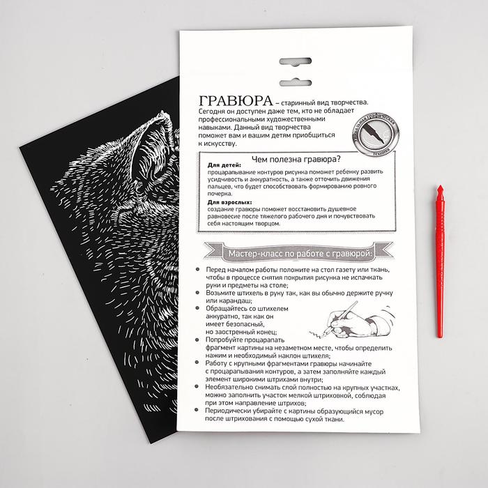 Гравюра "Британский кот", металлический эффект "серебро", 21 х 30 см