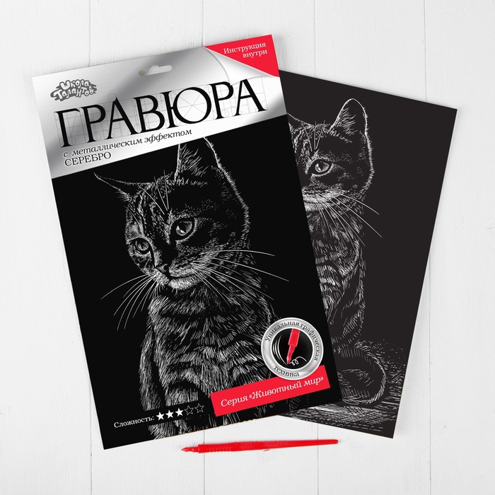 Гравюра "Полосатый котёнок", металлический эффект "серебро", 21 х 30 см