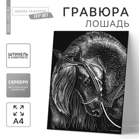 Гравюра «Лошадь» с металлическим эффектом «серебро» А4