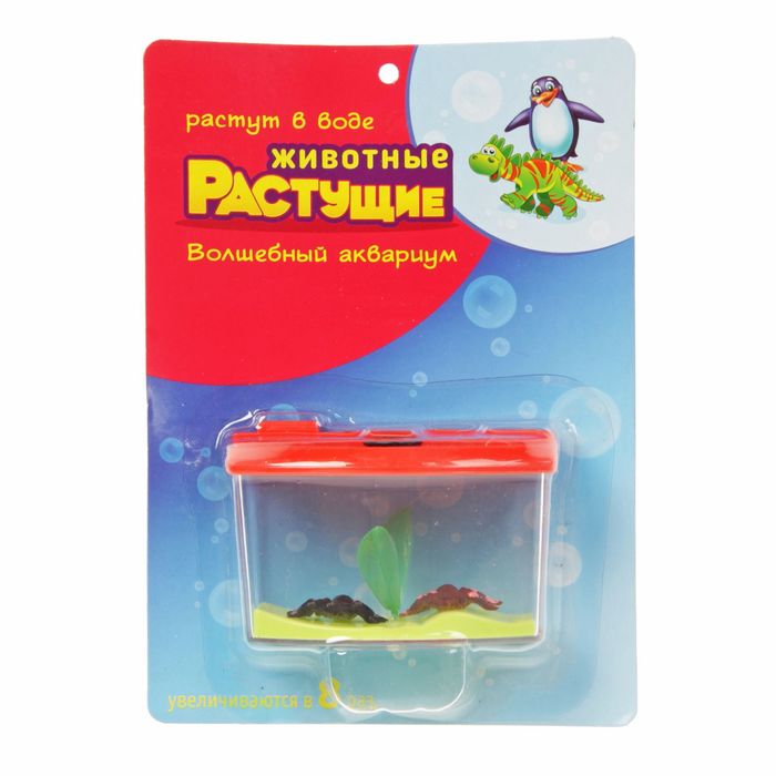 Растущие животные "Аквариум - 2 паука" МИКС