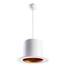 

Люстра подвес "Cappello" 1x60W E27 25x26x20 см