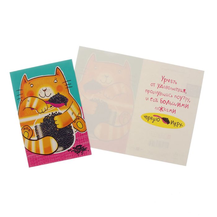 Открытка "Универсальная" кот с черной икрой