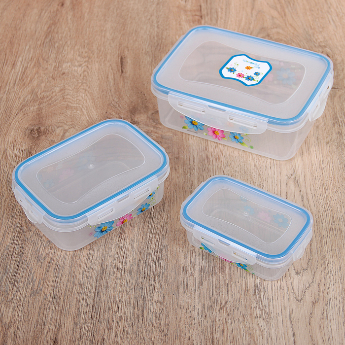 Набор ланч-боксов прямоугольных "Полянка", 3 шт: 0,1/0,25/0,55 л 10х6/11,5х8,5/14х11 см, цвет МИКС