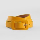 жёлтый жёлтый