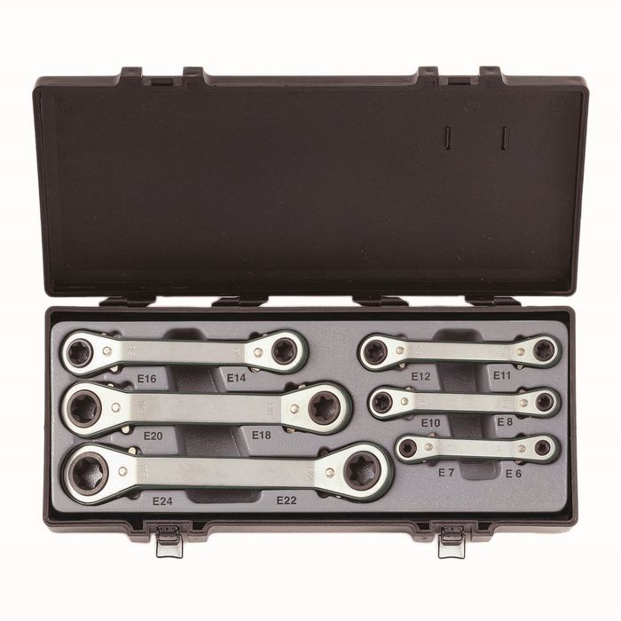 Набор ключей FORCE F-50617, накидных трещоточных TORX Е6хЕ7-Е22хЕ24, 6 предметов