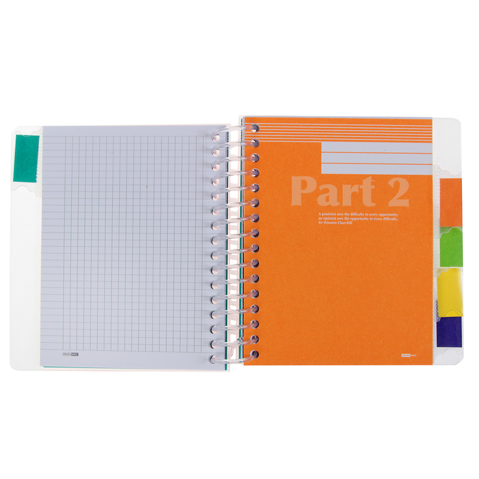 Бизнес-блокнот А6, 150 листов на гребне ULTIMATE BASICS, пластиковая обложка, разделители, МИКС