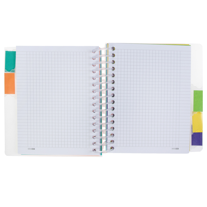 Бизнес-блокнот А6, 150 листов на гребне ULTIMATE BASICS, пластиковая обложка, разделители, МИКС