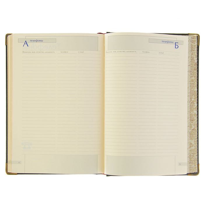 Ежедневник полудатированный А5, 208 листов Imperium, натуральная кожа, тонированный блок, золотой срез, два ляссе, чёрный