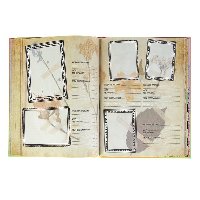 Альбом самой лучшей девочки на свете. Автор: Третьякова А.И., Шабан Т.С.