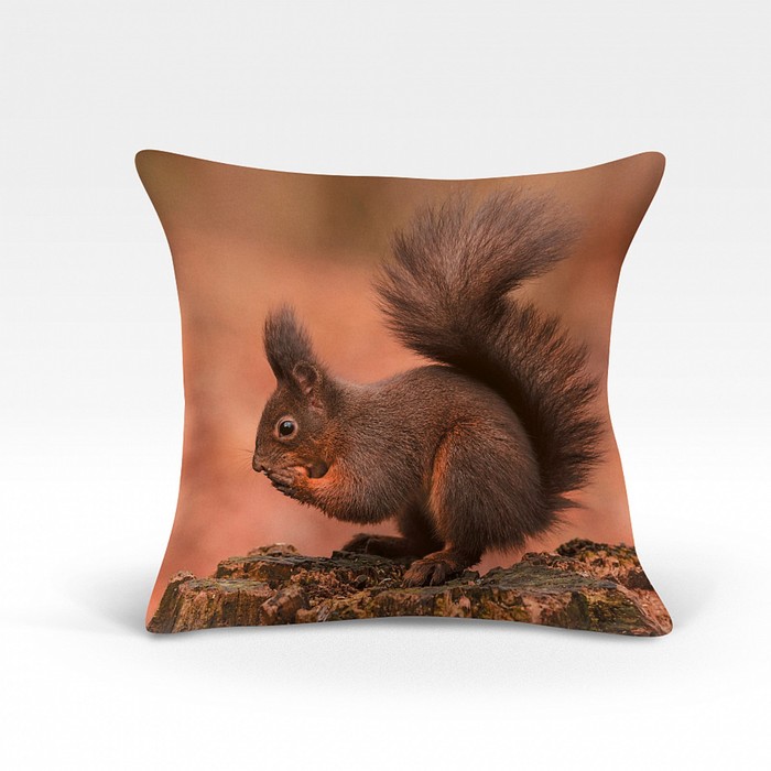 Подушка декоративная, размер 45х45 см