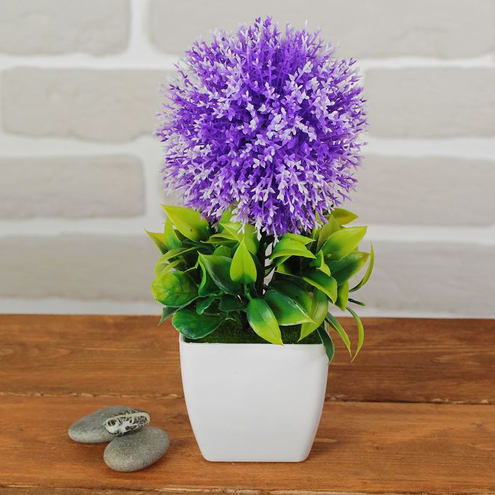 Бонсай "Яркая макушка" 8*23 см микс