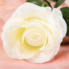Цветы искусственные "Роза Глория" 9*60 см, белая от Сима-ленд