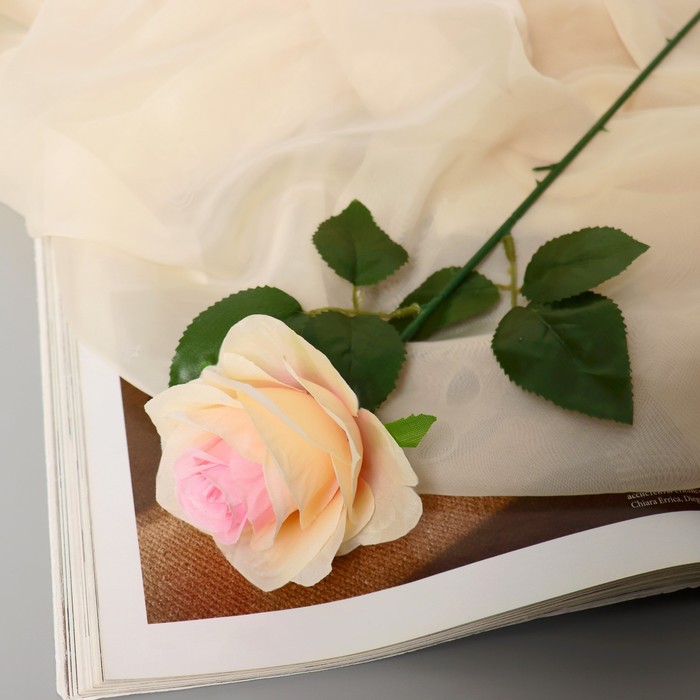 Цветы искусственные Роза Глория 9х60 см, кремовый цветы искусственные роза глория дей d 4 см 75 см белый