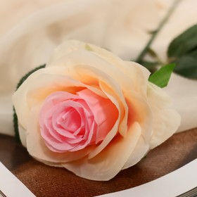 Цветы искусственные "Роза Глория" 9*60 см, кремовая от Сима-ленд