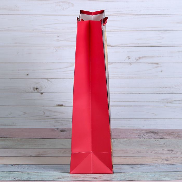 Пакет подарочный "Новогодние сани", люкс, 18 х 8 х 24 см