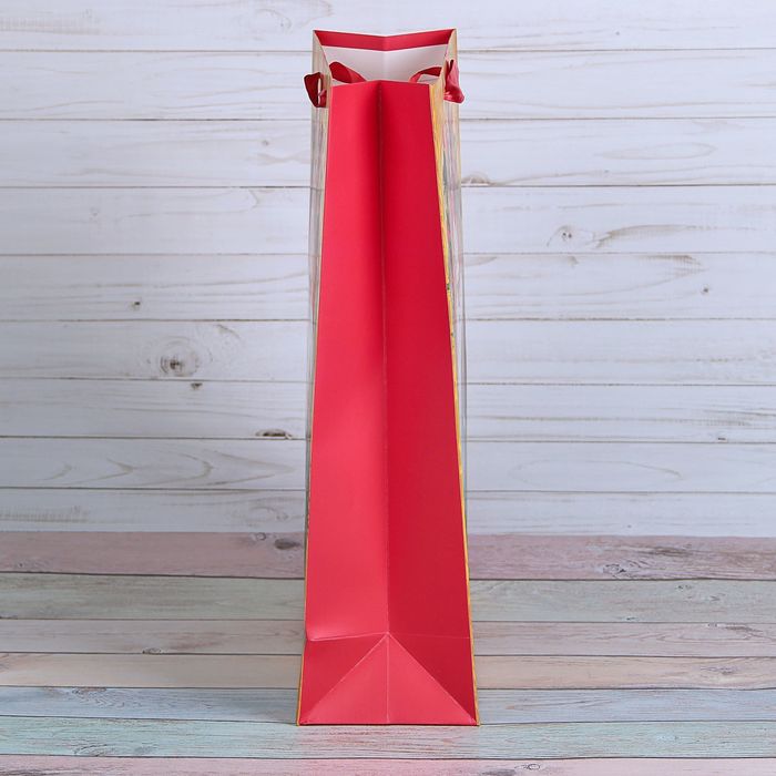 Пакет подарочный "Дед Мороз и Снегурочка", люкс, 18 х 8 х 24 см