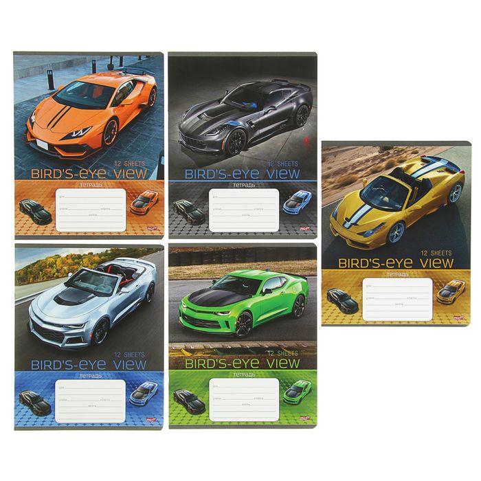 Тетрадь 12 листов линейка "Крутое авто", обложка картон хромэрзац, 5 видов МИКС