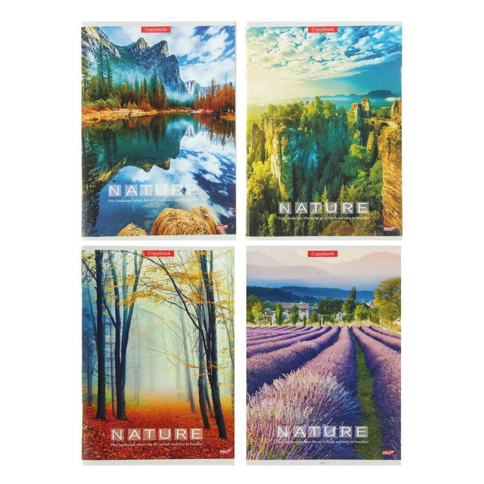 Тетрадь 96 листов клетка "Красивые виды", обложка картон хромэрзац, белизна блока 82-86 %