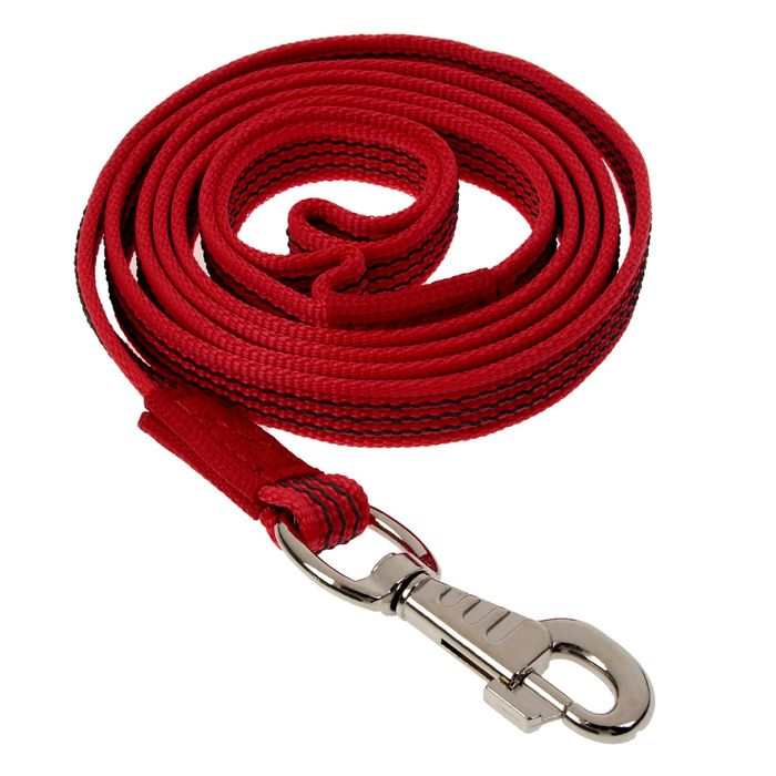 Поводок с латексной нитью двухсторонний, 2 м х 2 см, нейлон, красный