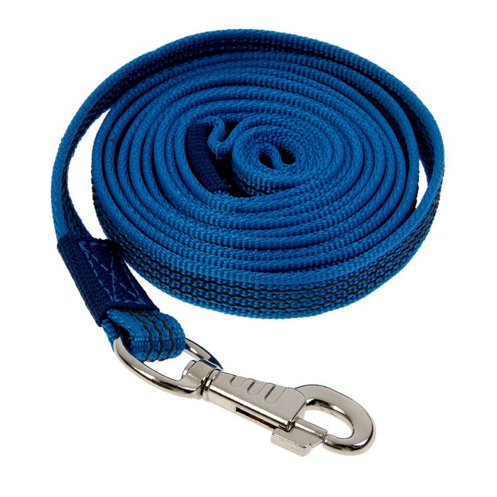 Поводок с латексной нитью двухсторонний, 3 м х 2 см, нейлон, синий