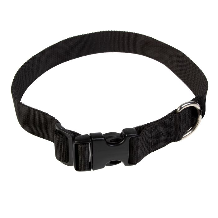 Ошейник с фастексом и полукольцом, 40-65 х 3 см, капрон