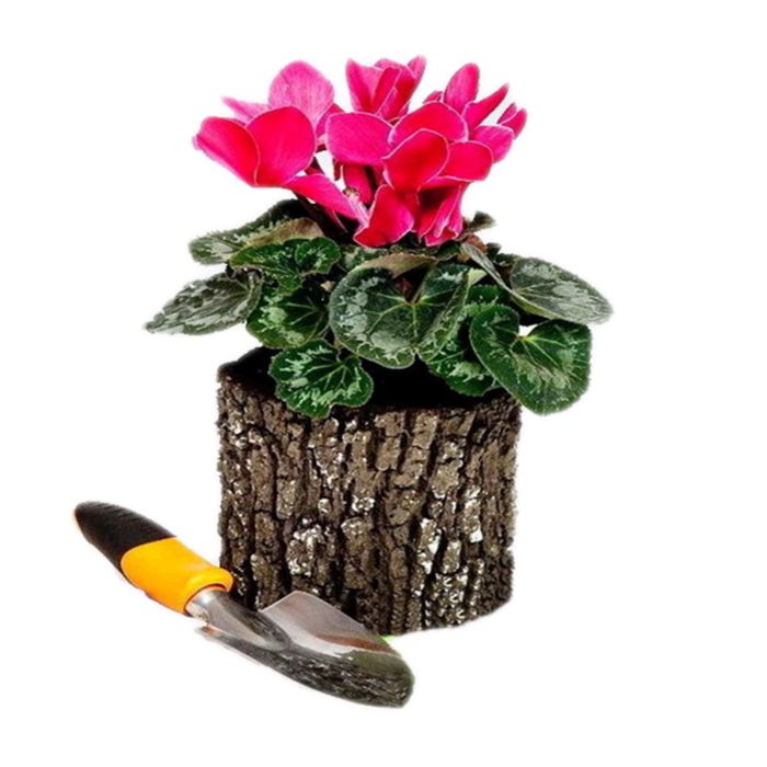 Цветочница "Дуб", 15 х 14 х 14 см, малая, вертикальная