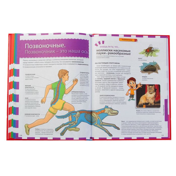 Самая интересная энциклопедия для маленьких любознашек. Ортега. О