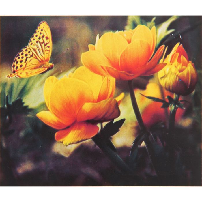 Алмазная вышивка с частичным заполнением "Бабочка и цветы" с подставкой