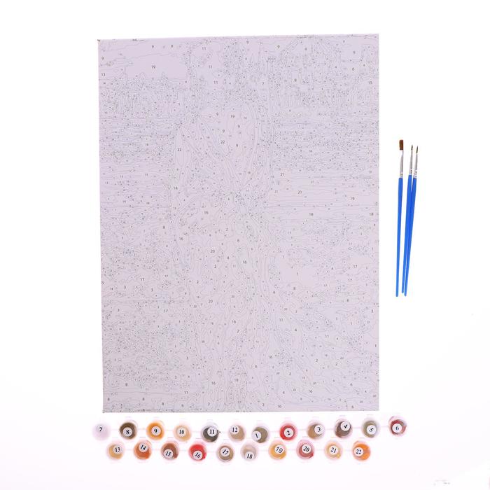 Роспись по холсту "Женщина в красном" по номерам с красками по 3 мл+ кисти+крепеж 30*40