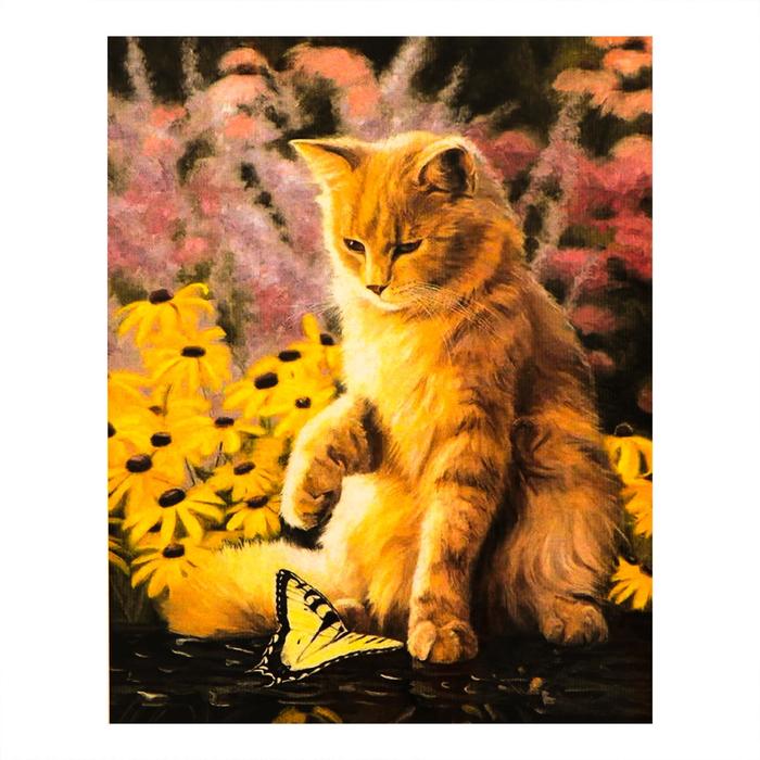 Роспись по холсту "Кот с бабочкой" по номерам с красками по 3 мл+ кисти+крепеж 30*40