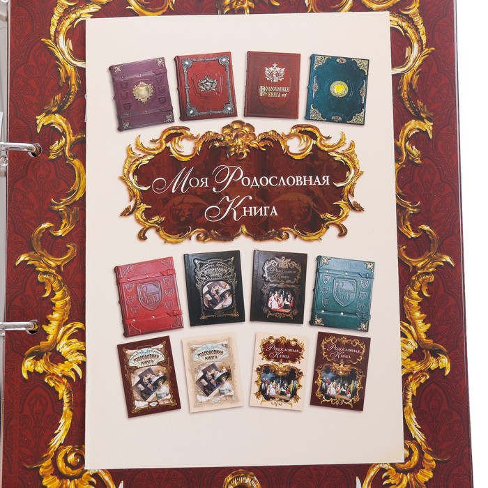 Родословная книга-альбом "Сапфировая", дизайнерская бумага, бархат