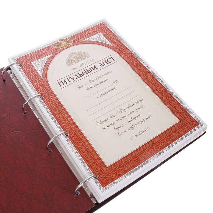 Родословная книга-альбом "Сапфировая", дизайнерская бумага, бархат