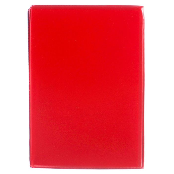 Набор: обложка для автодокументов и 4 наклейки "Автоледи"