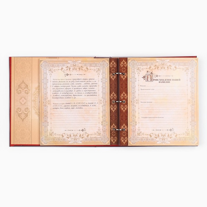 Родословная книга с рамкой под фото «Семейная книга», 50 листов, 21,5 х 23,7 см