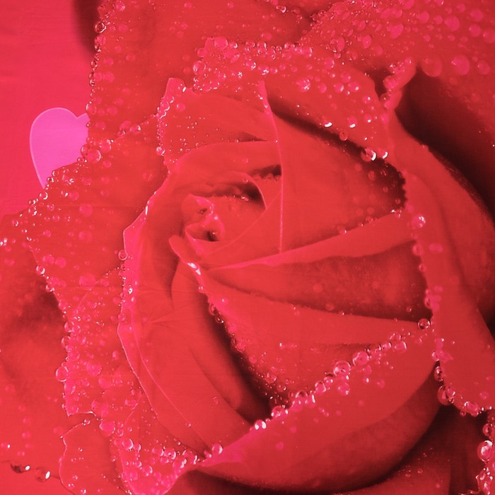 Постельное бельё "Этель 3Д" 2 сп., Белла Вита 180*210 см 220*240 см 50*70 + 5 см - 2 шт.