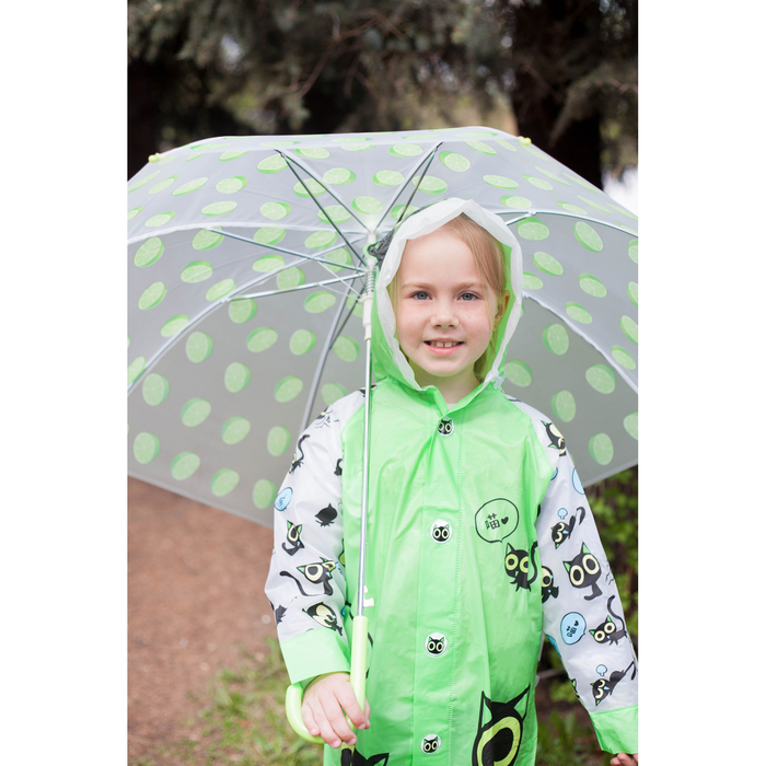 Зонт детский полуавтоматический "Лаймы" r=44,5см, цвет салатовый