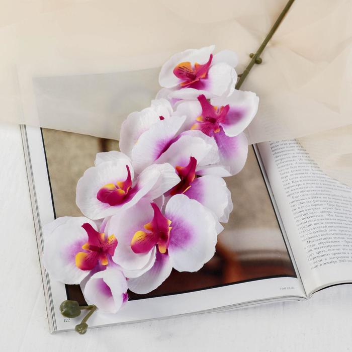 Цветы искусственные Орхидея молди 9х66 см, бело-фиолетовый