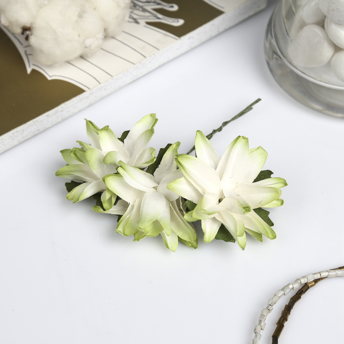 Декор для творчества "Астра с зелёным оттенком" (набор 9 шт) 4х4 см