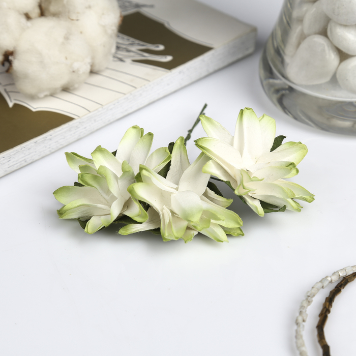 Декор для творчества "Астра с зелёным оттенком" (набор 9 шт) 4х4 см