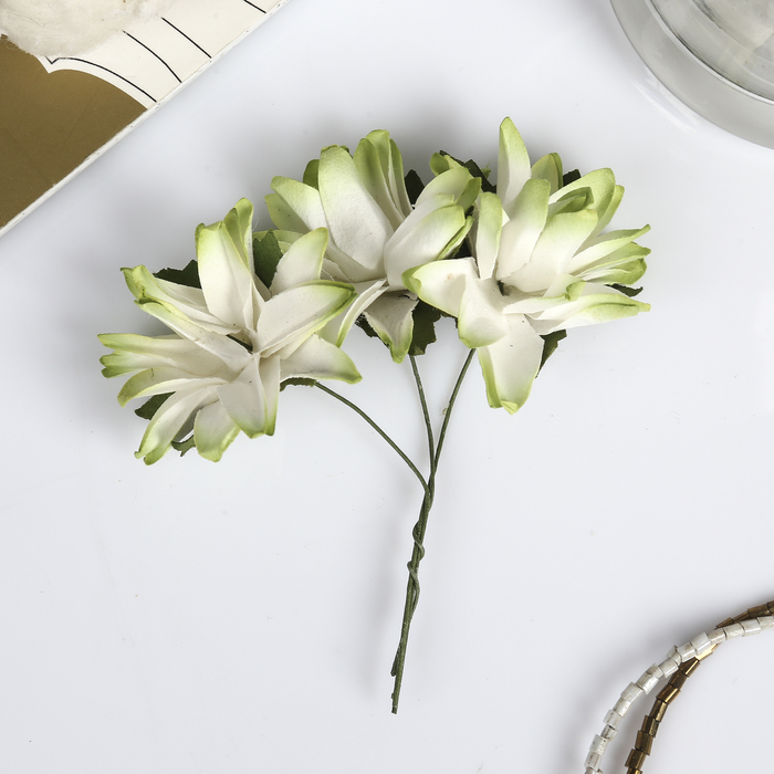 Декор для творчества "Астра с зелёным оттенком" (набор 9 шт) 4х4 см