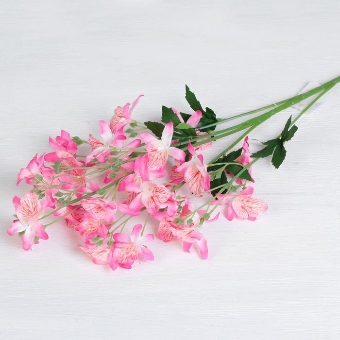 Цветы искусственные "Целогония" 5*77 см, розовая