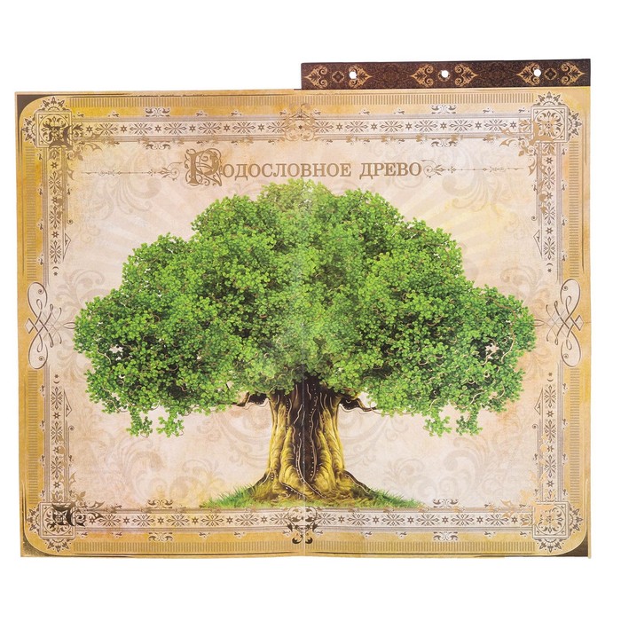 Родословная книга с рамкой под фото «Родословная книга», под дерево, 50 листов, 21,5 х 23,7 см