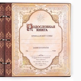 Родословная книга с рамкой под фото «Родословная книга», под дерево, 50 листов, 21,5 х 23,7 см от Сима-ленд