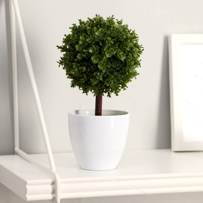 Бонсай "Мелколист с цветочками" 7*18 см микс