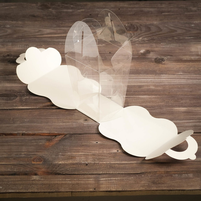 Подарочная коробка "Восторг", фонарик с пластиком, 17 х 11 х 16.2 см