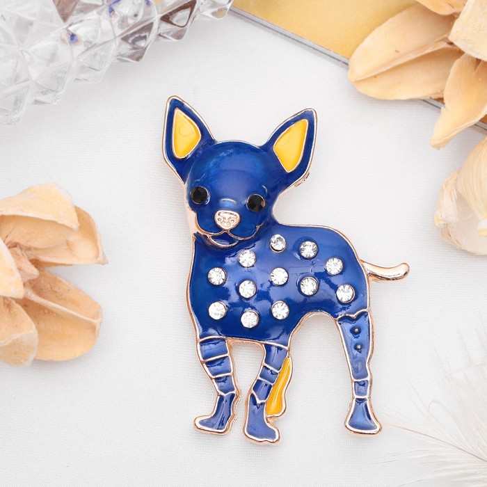 Брошь "Чихуахуа", цвет синий в золоте