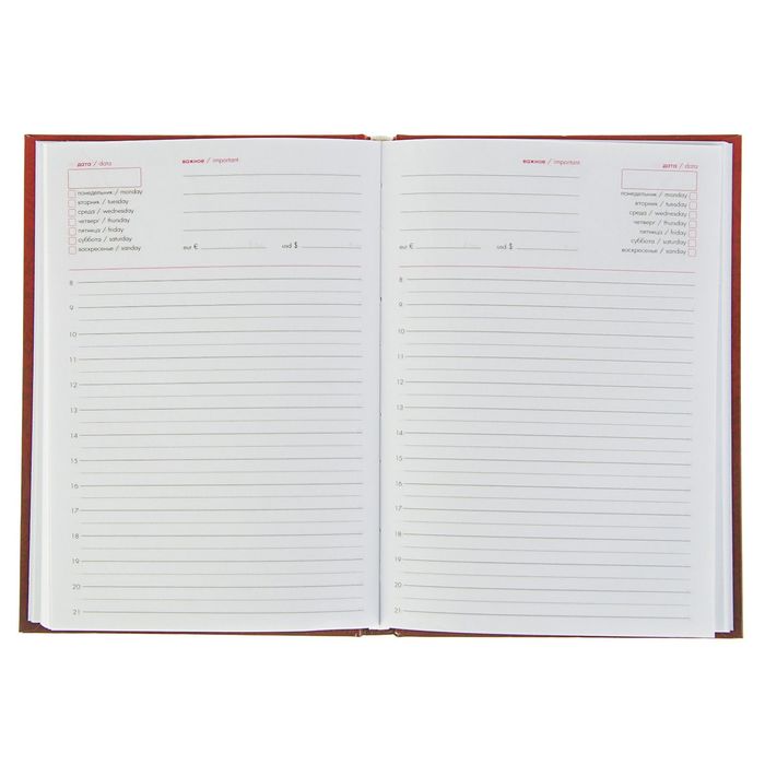 Ежедневник недатированный А5, 120 листов «ЧМ по футболу 2018», твердая обложка