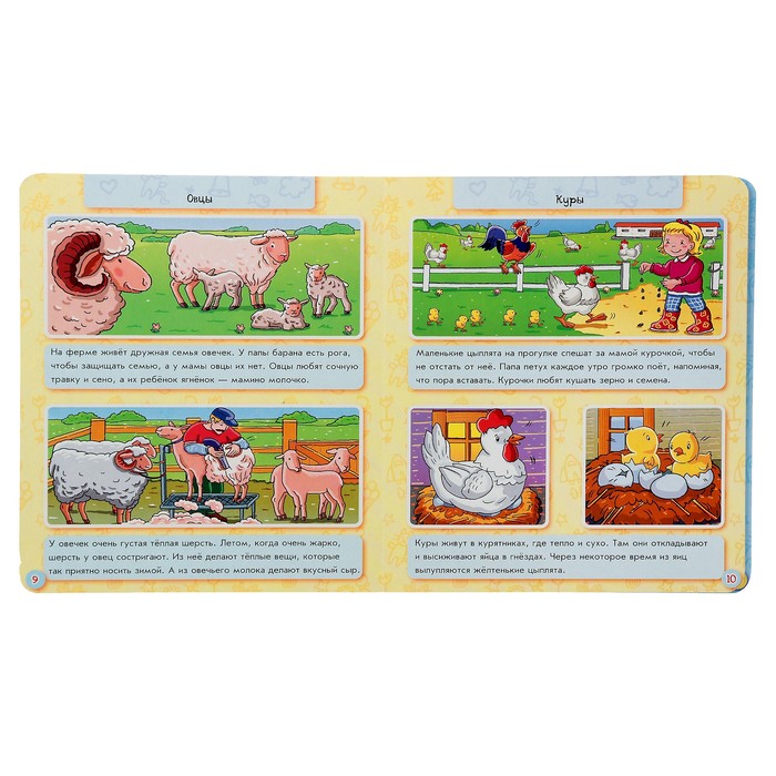 Моя первая энциклопедия в картинках «Животные на ферме»