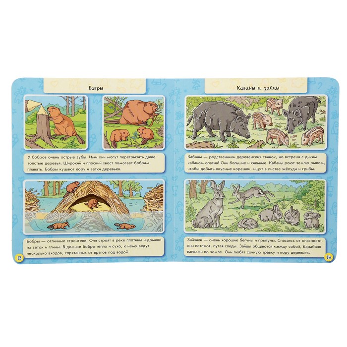 Моя первая энциклопедия в картинках «Животные леса»